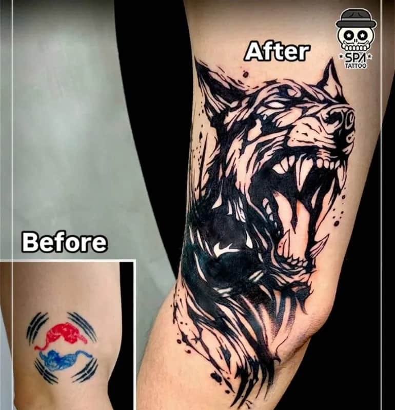 ๋ธ๋์ํฌ ์ปค๋ฒ์
๋๋ฒ ๋ฅด๋ง ํํฌ