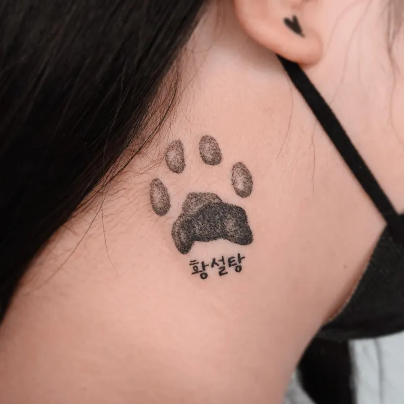 고양이 발바닥 젤리