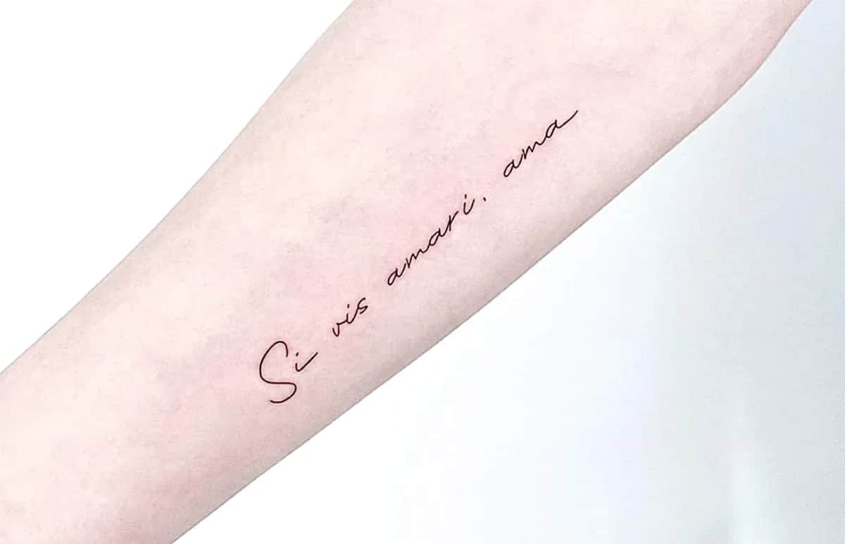 인천타투 주안타투 레터링타투 라틴어타투