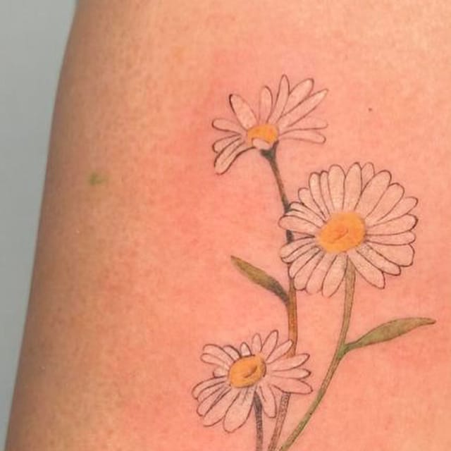 ๋ฐ์ด์ง ๊ฝํํฌ