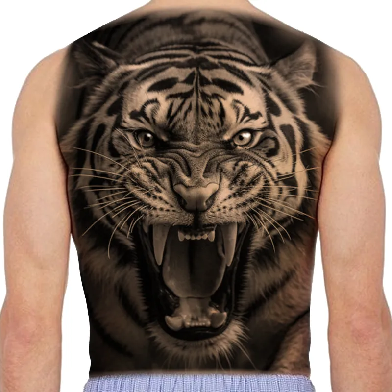 호랑이 등판 모델 구합니다