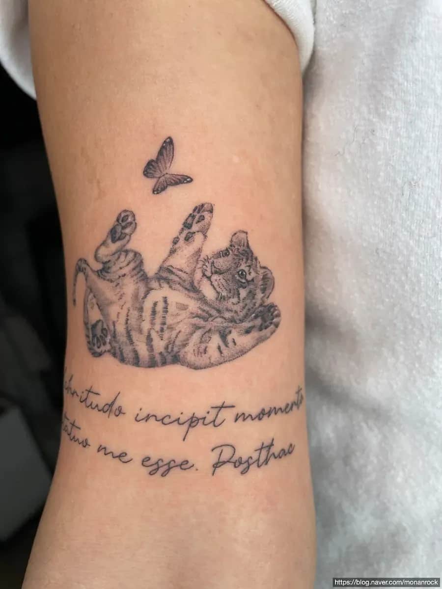 여자 팔 귀여운 새끼 호랑이 타투 레터링타투와 함께 아기 아기 귀엽고 예쁘게 잘 새긴 문신 소개합니다. (강북구타투 잘하는곳 비행디자인, 새끼호랑이꿈해몽)