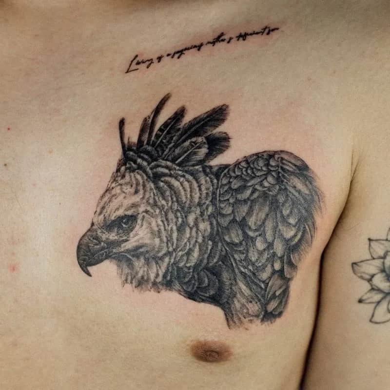 독수리 남자 가슴타투 tattooist_petal