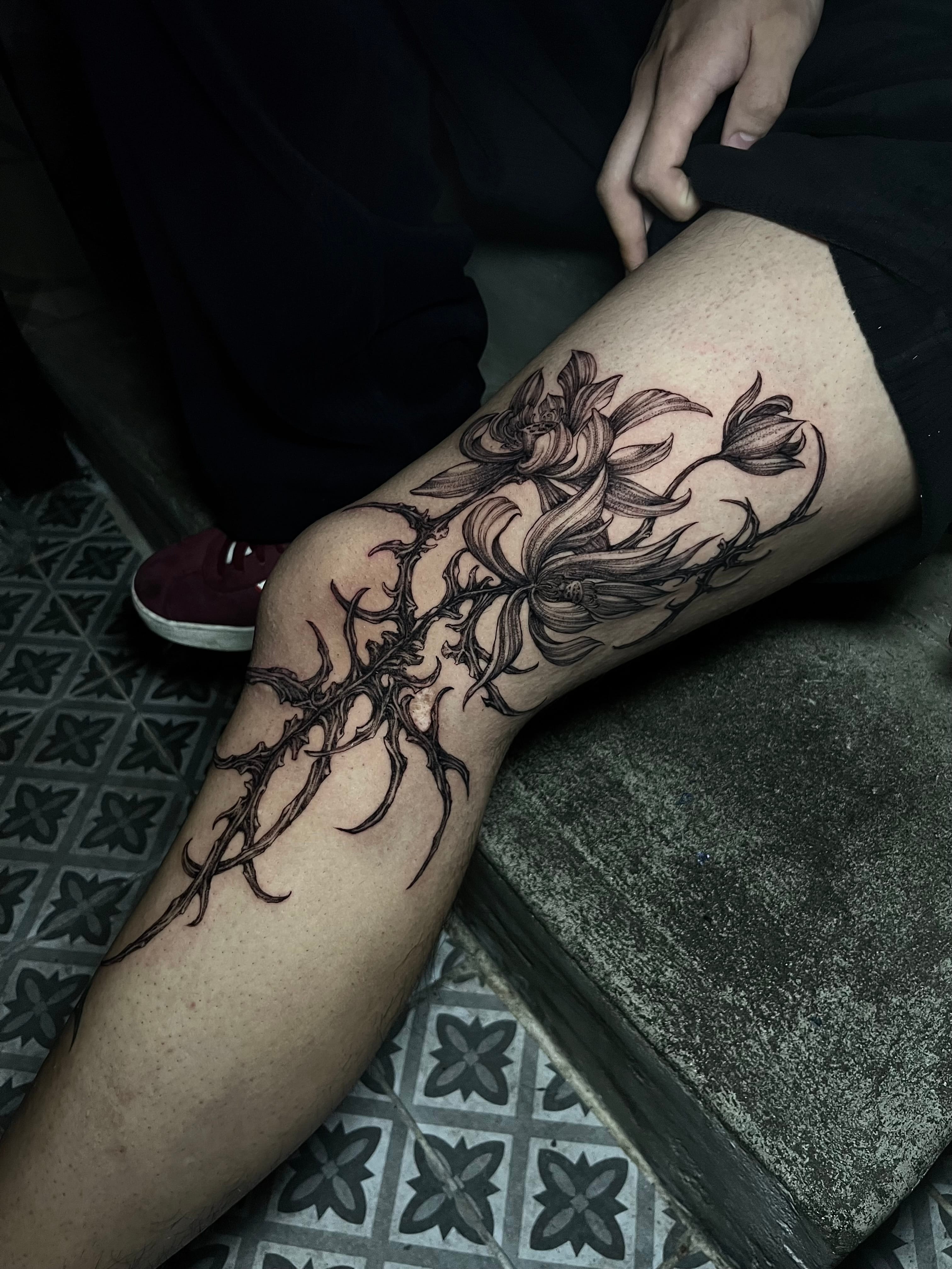 연꽃 / 뼈 / 가시 / 다크사이드