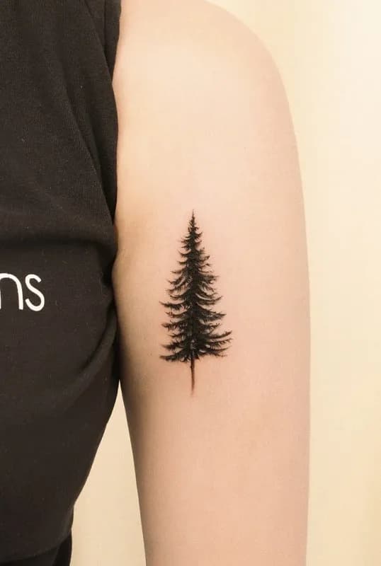 ๋๋ฌด ์๋๋ฌด ํ์๋ชฉ ํธ๋ฆฌ ๊ฐ์ฑํํฌ - 1