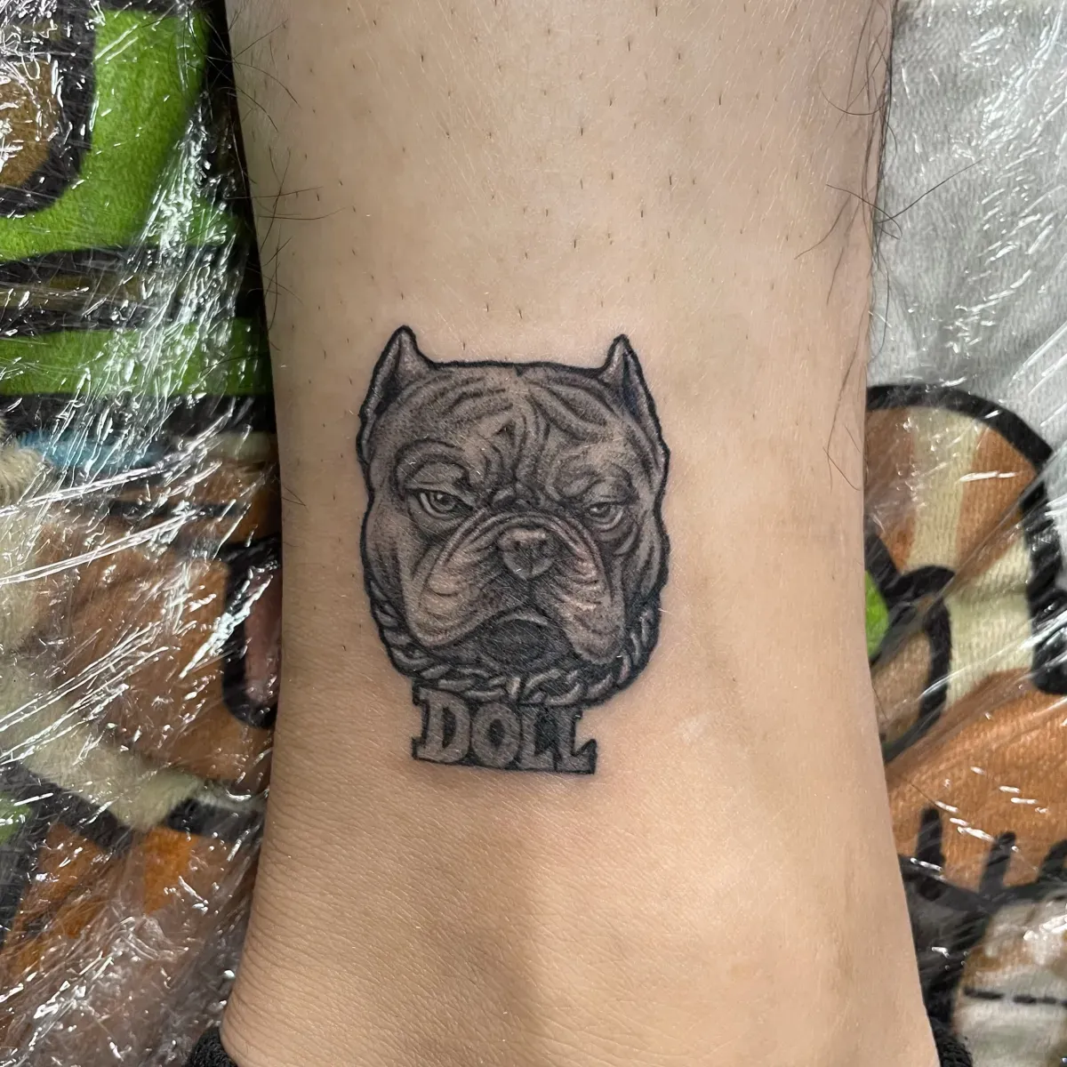 ์ ์๋๋ฌผ ํํฌ