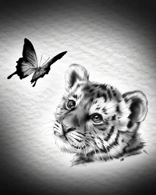 아기호랑이와 나비