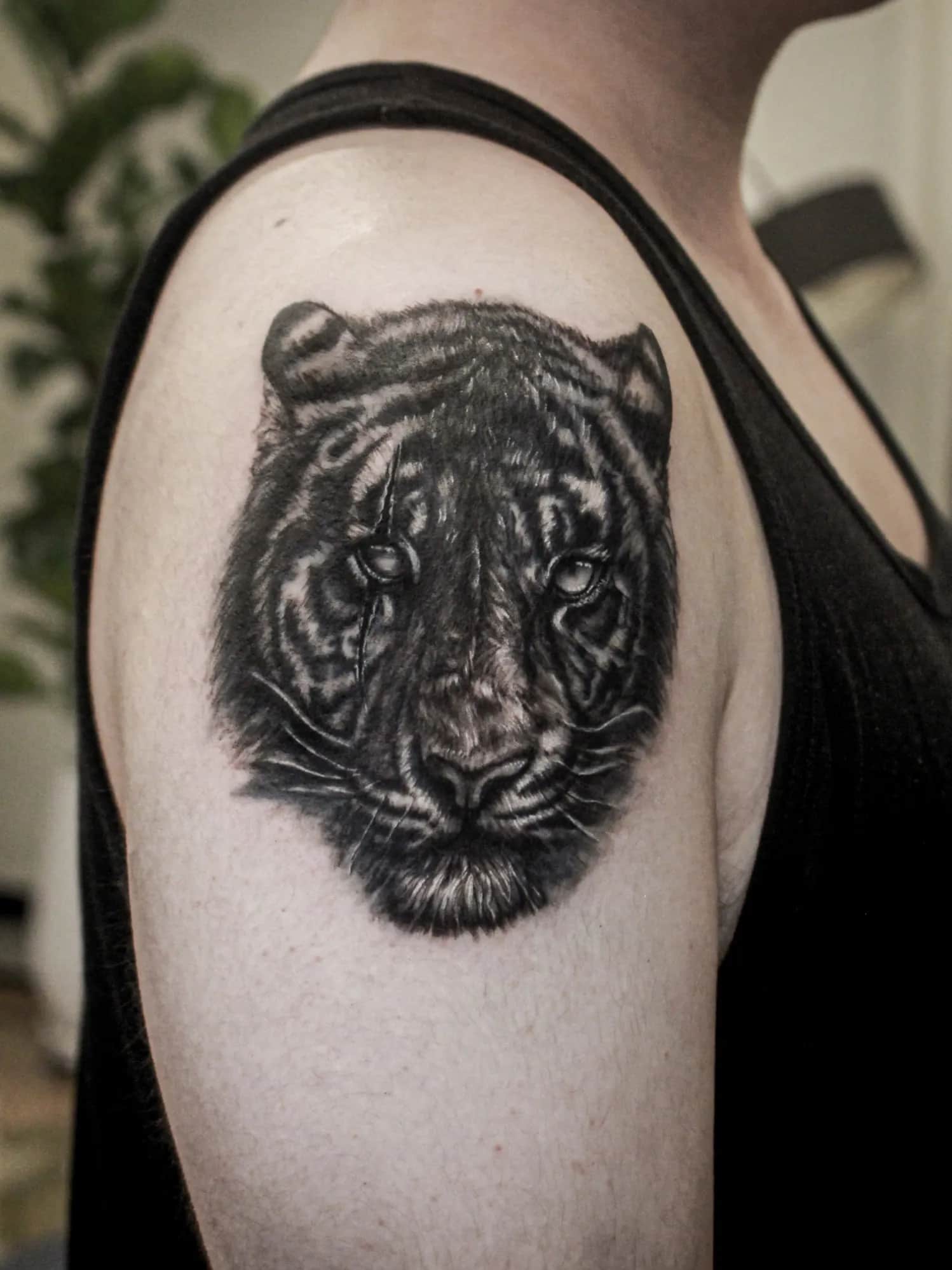 ํธ๋์ด ํฐ์น์
์ปค๋ฒ์