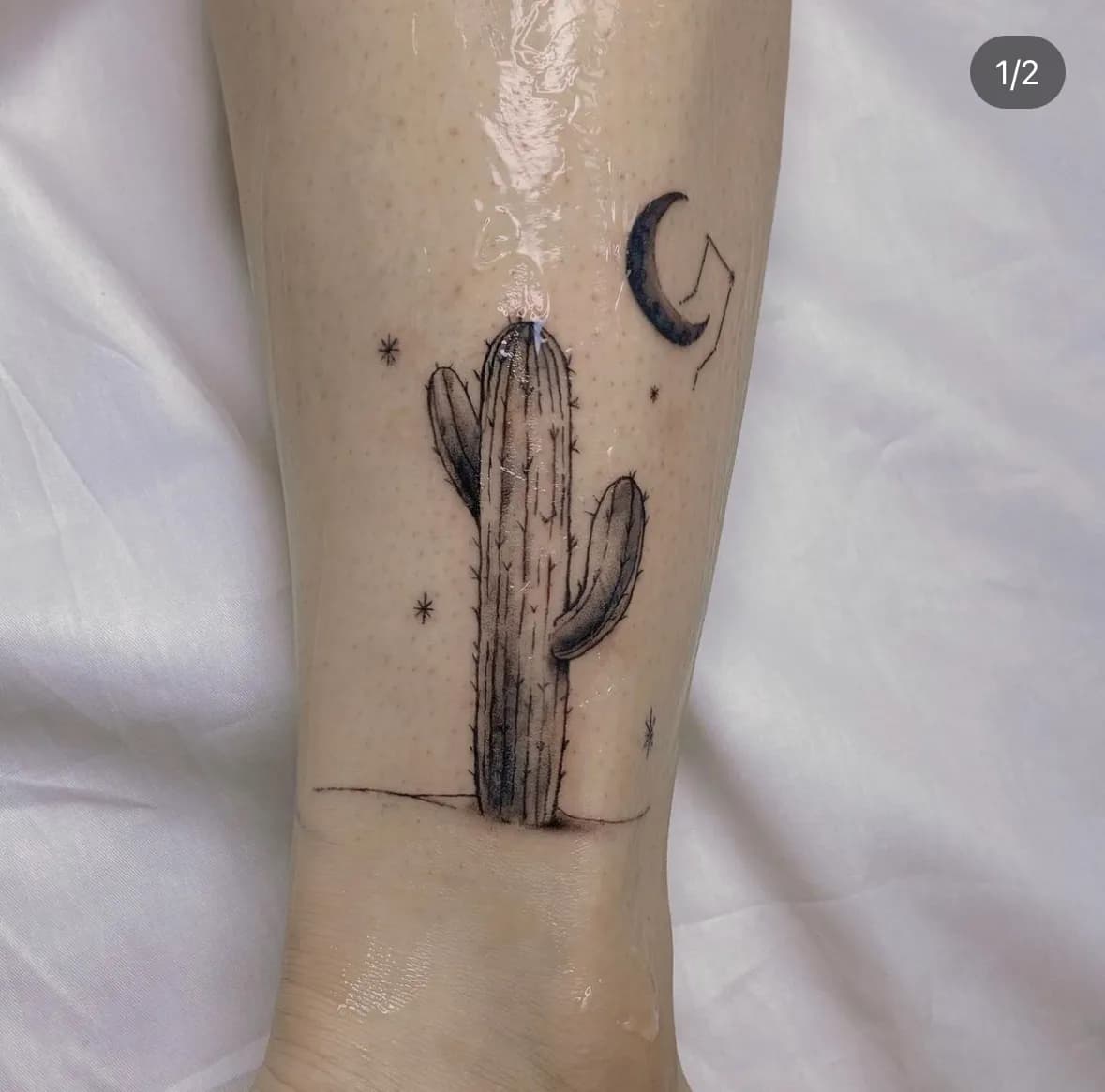 ์ ์ธ์ฅ ํํฌ - 1