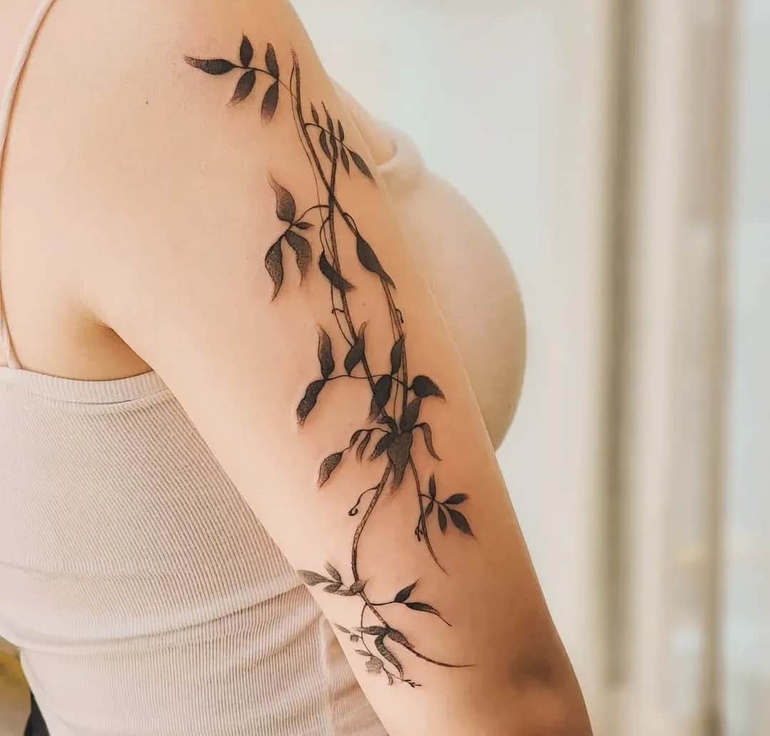 수묵화 넝쿨식물