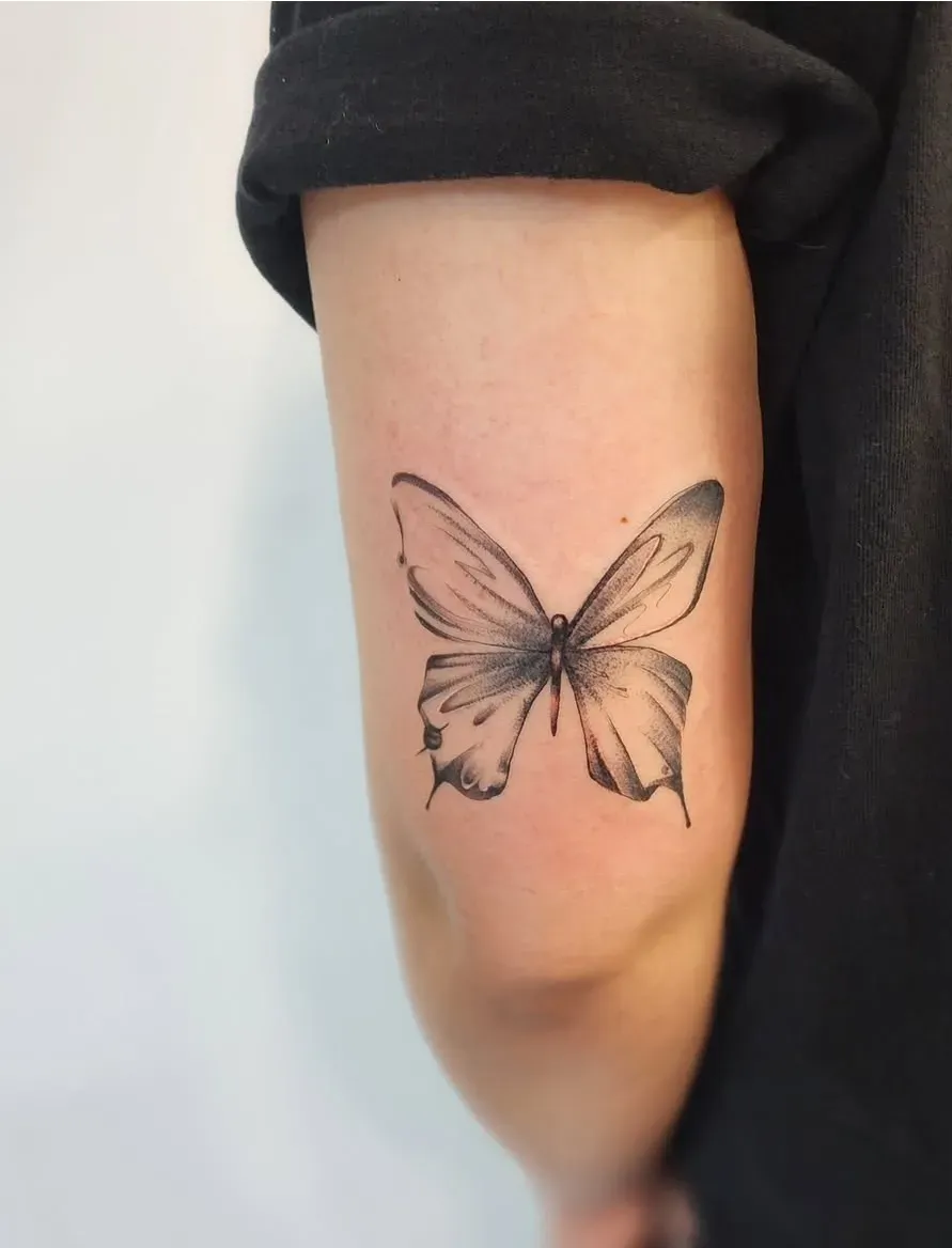 전주타투나비타투