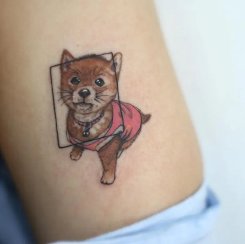 ๋ฐ๋ ค๋๋ฌผ ํํฌ