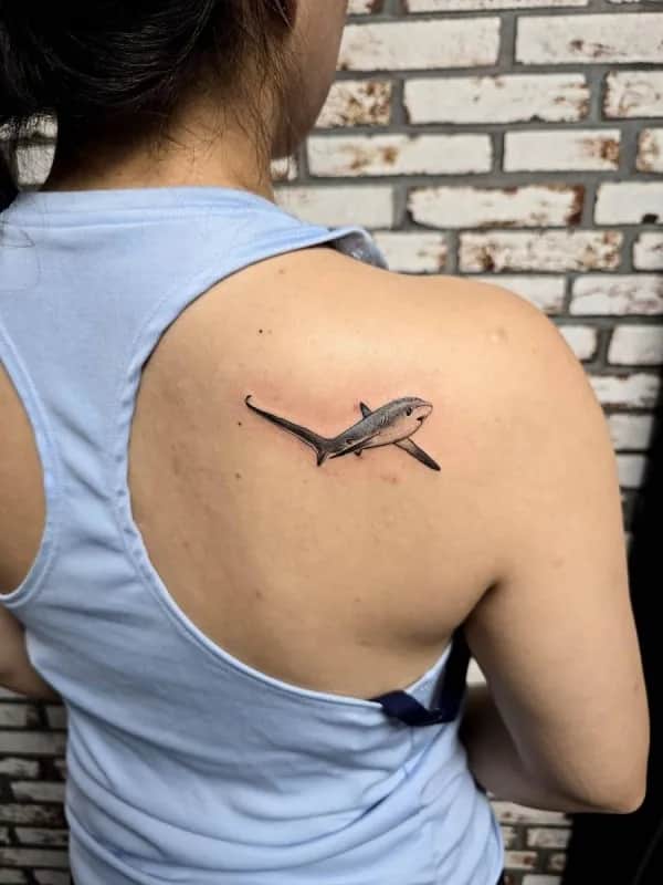 ๋ถ์ฒํํฌ ์ํํฌ ์ด๊นจ ์์ด์
๋๋ค~^^